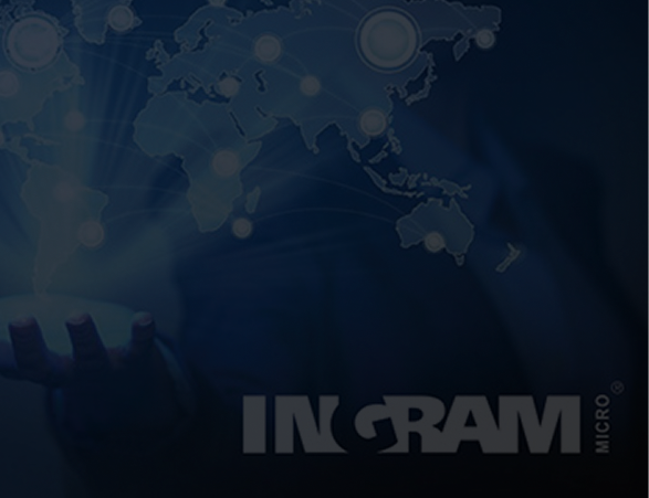 Ingram Micro Partner